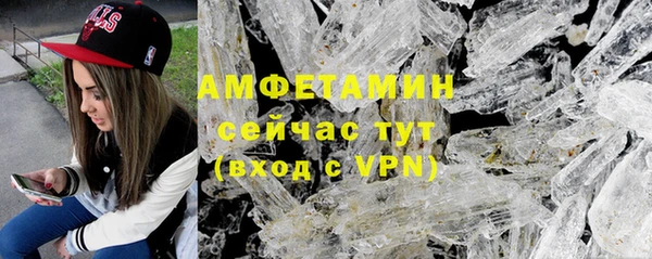 СК Алексин