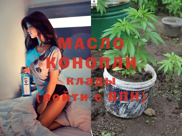 СК Алексин